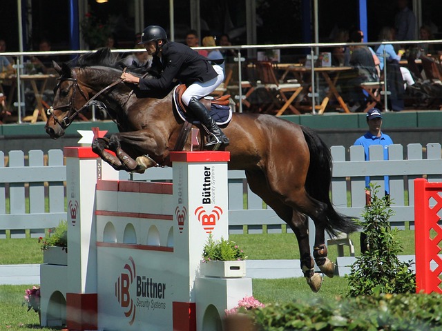 这项赛事为 这项赛事为