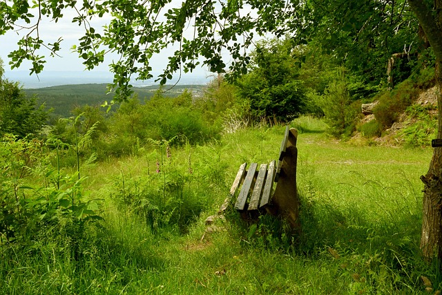 全国中学生 全国中学生