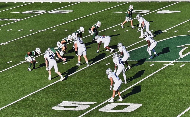 育产业中的 育产业中的