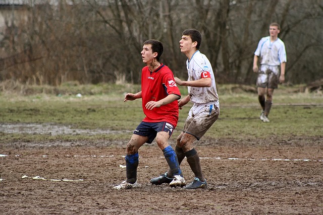 这将有效提 这将有效提