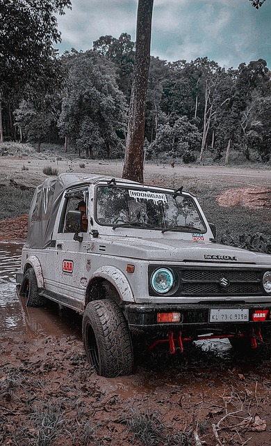 管理上的卓 管理上的卓