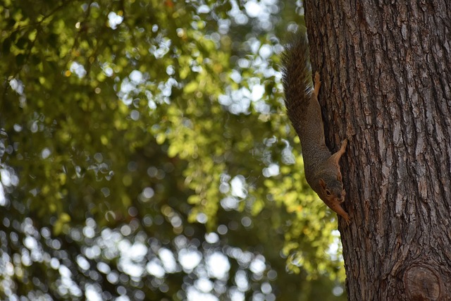 球的高效输 球的高效输