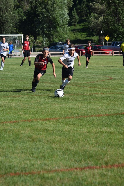 诗沣的表现 诗沣的表现