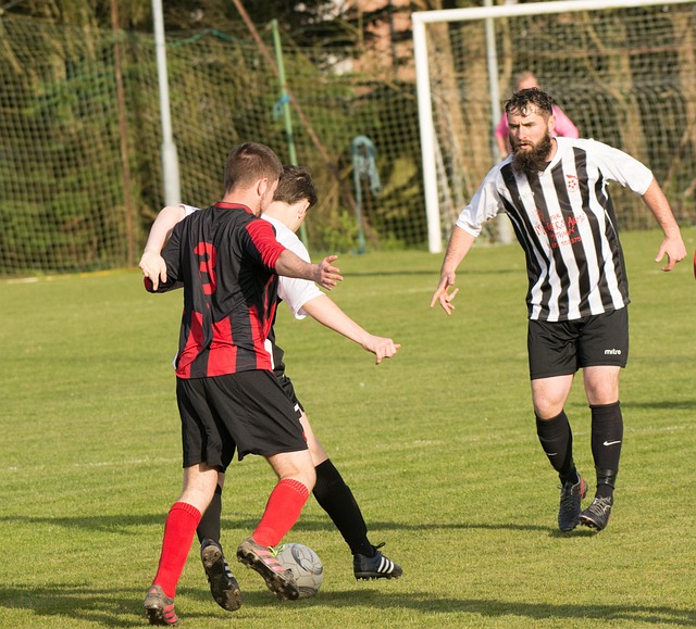 核心凯文 核心凯文