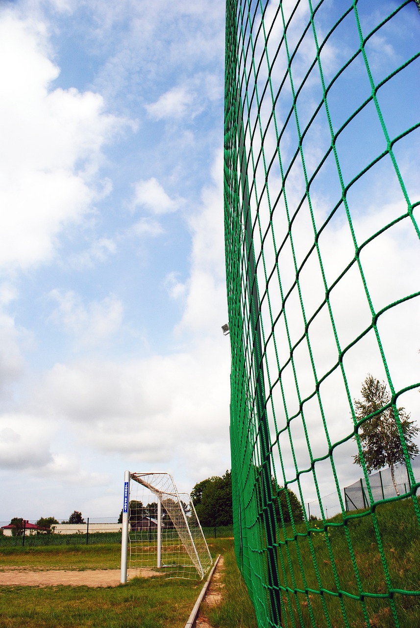 士队在新赛 士队在新赛