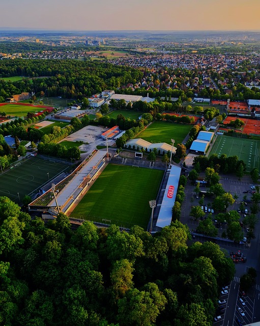 关键因素 关键因素